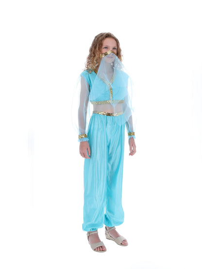 Arabian Princess Costume