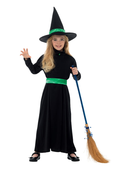 Wicked Witch Costume 1