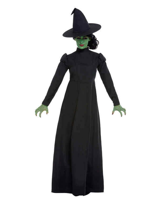 Wicked Witch Costume 1