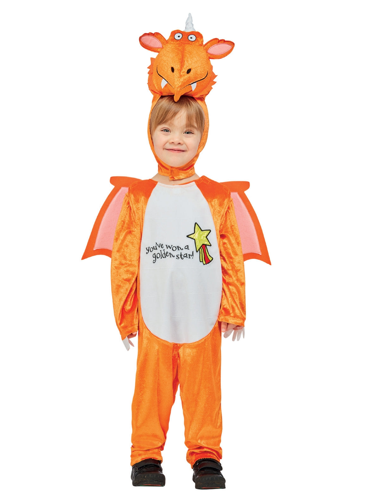 Julia Donaldson Zog Costume 1