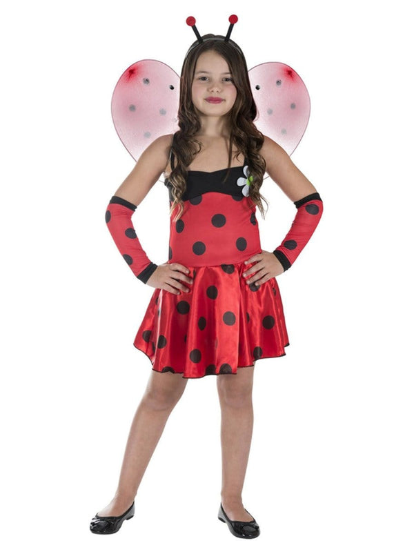 Ladybug Costume