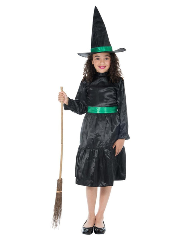 Wicked Witch Costume