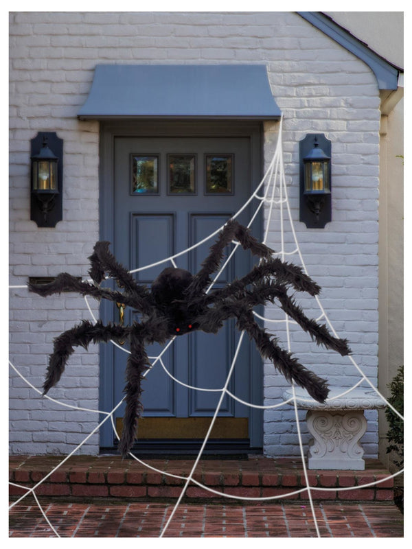 Outdoor Giant Spider & Web