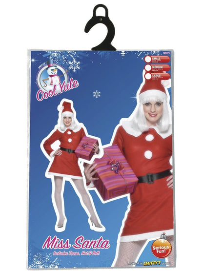 Miss Santa Costume Alternative View 3.jpg