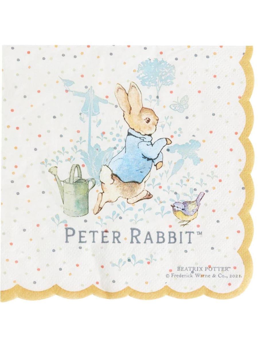 Peter Rabbit Party Supplies, Tableware, and Decorations