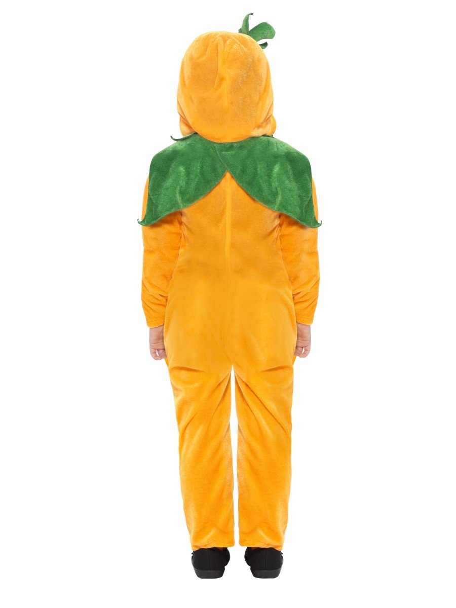 Unisex Adult Carrot Costume — Costume Super Center