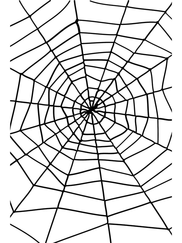 Spider & Spiders Web